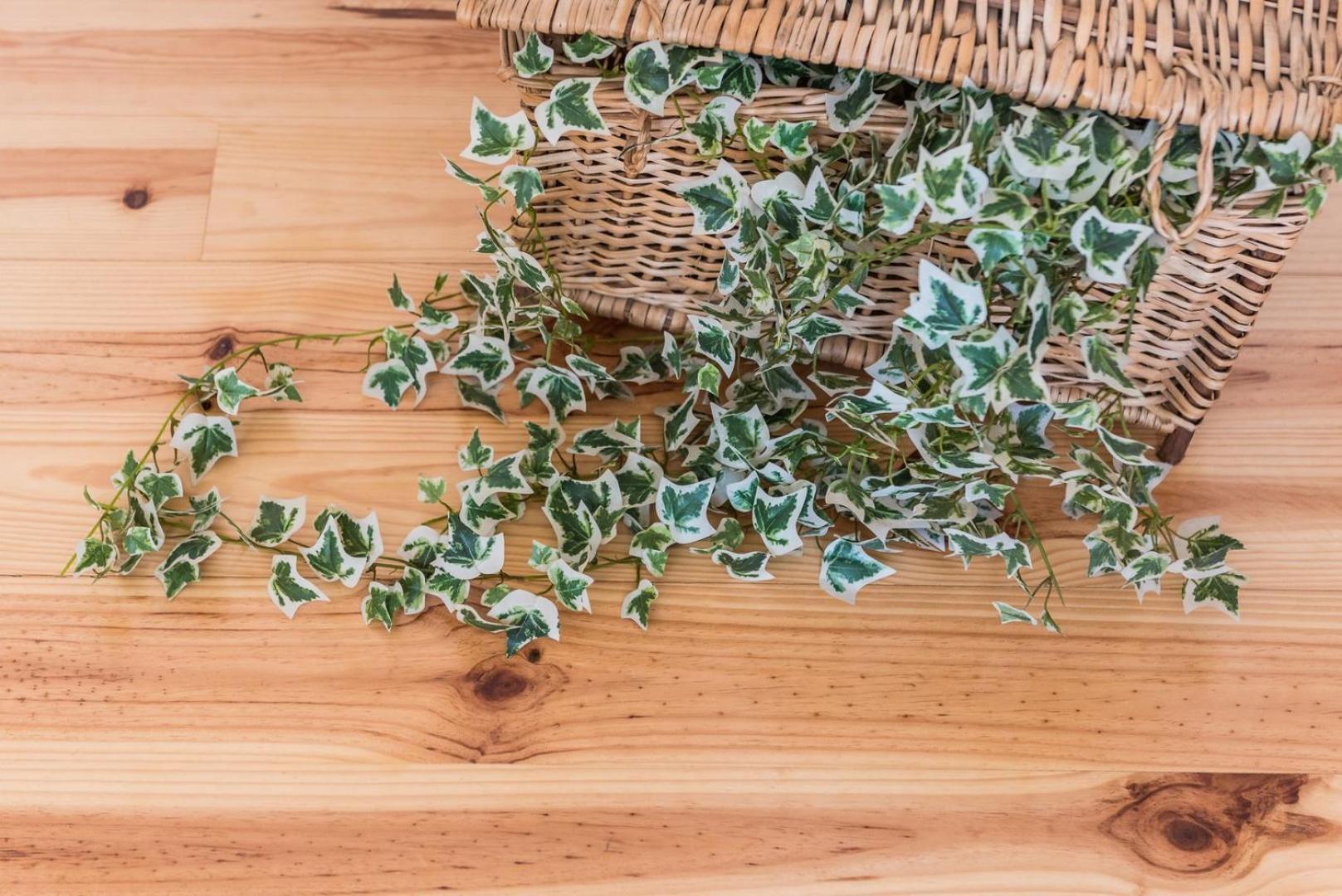 Guestready - Coral Apartment Πόρτο Εξωτερικό φωτογραφία